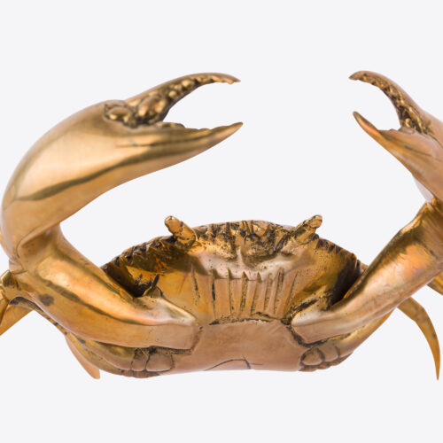 solid brass crab