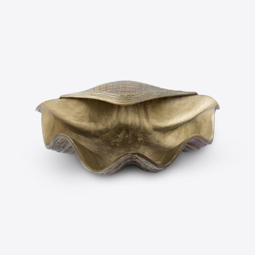 Large Brass Clam Wine Cooler